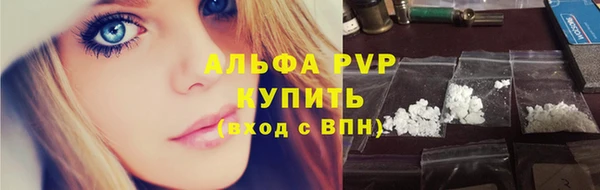 сатива Волосово