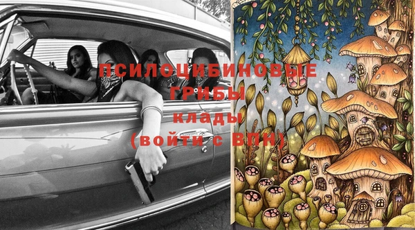 гидра Володарск