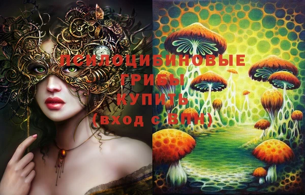 сатива Волосово