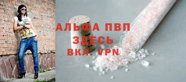 гидра Володарск