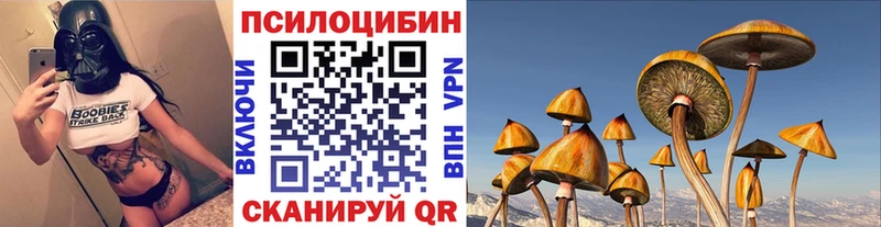 OMG ССЫЛКА  Печора  Галлюциногенные грибы MAGIC MUSHROOMS 